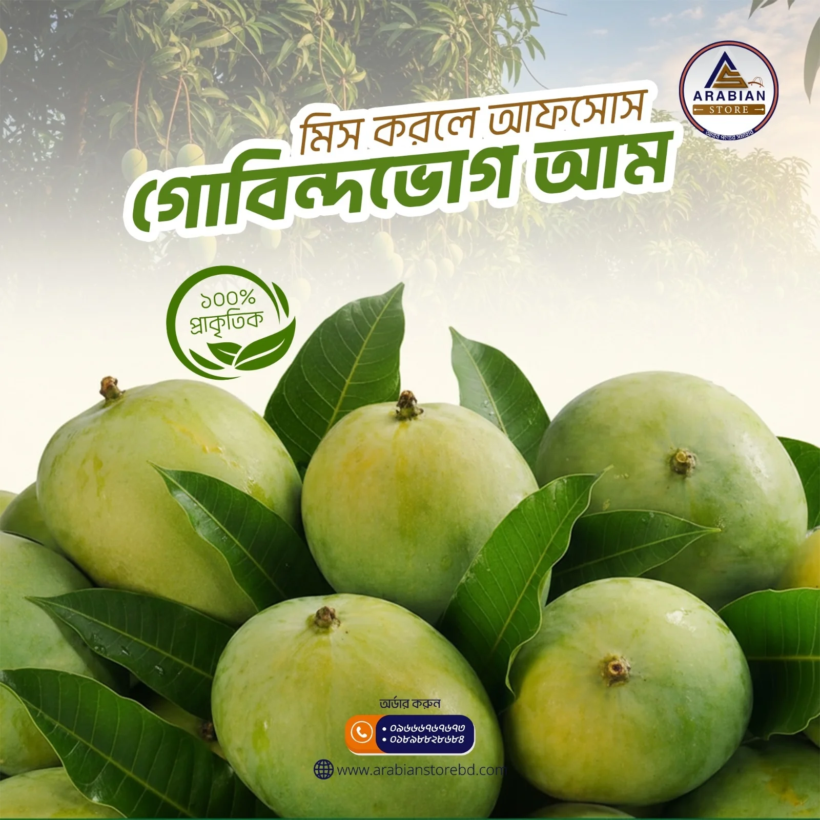 গোবিন্দভোগ আম- ১২ কেজি প্যাকেজ