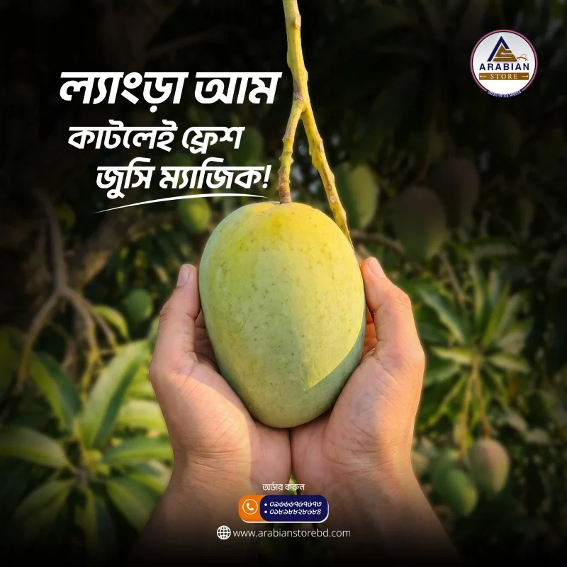 ল্যাংড়া আম- ২২ কেজি প্যাকেজ
