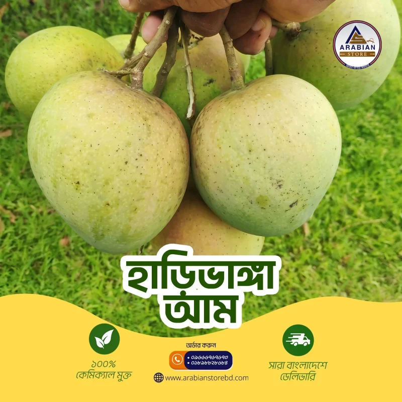 হাড়িভাঙ্গা আম- ৪৪ কেজি প্যাকেজ