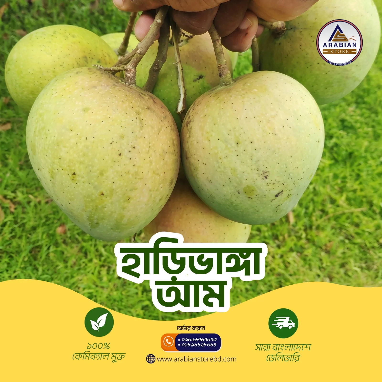 হাড়িভাঙ্গা আম- ৪৪ কেজি প্যাকেজ